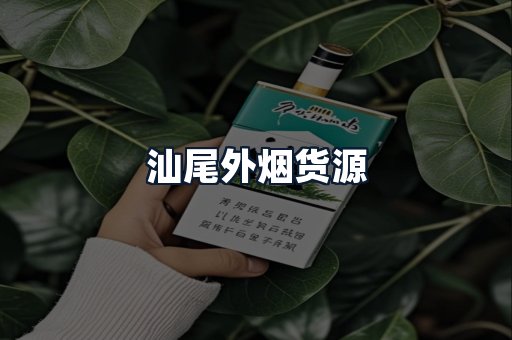 汕尾外烟货源